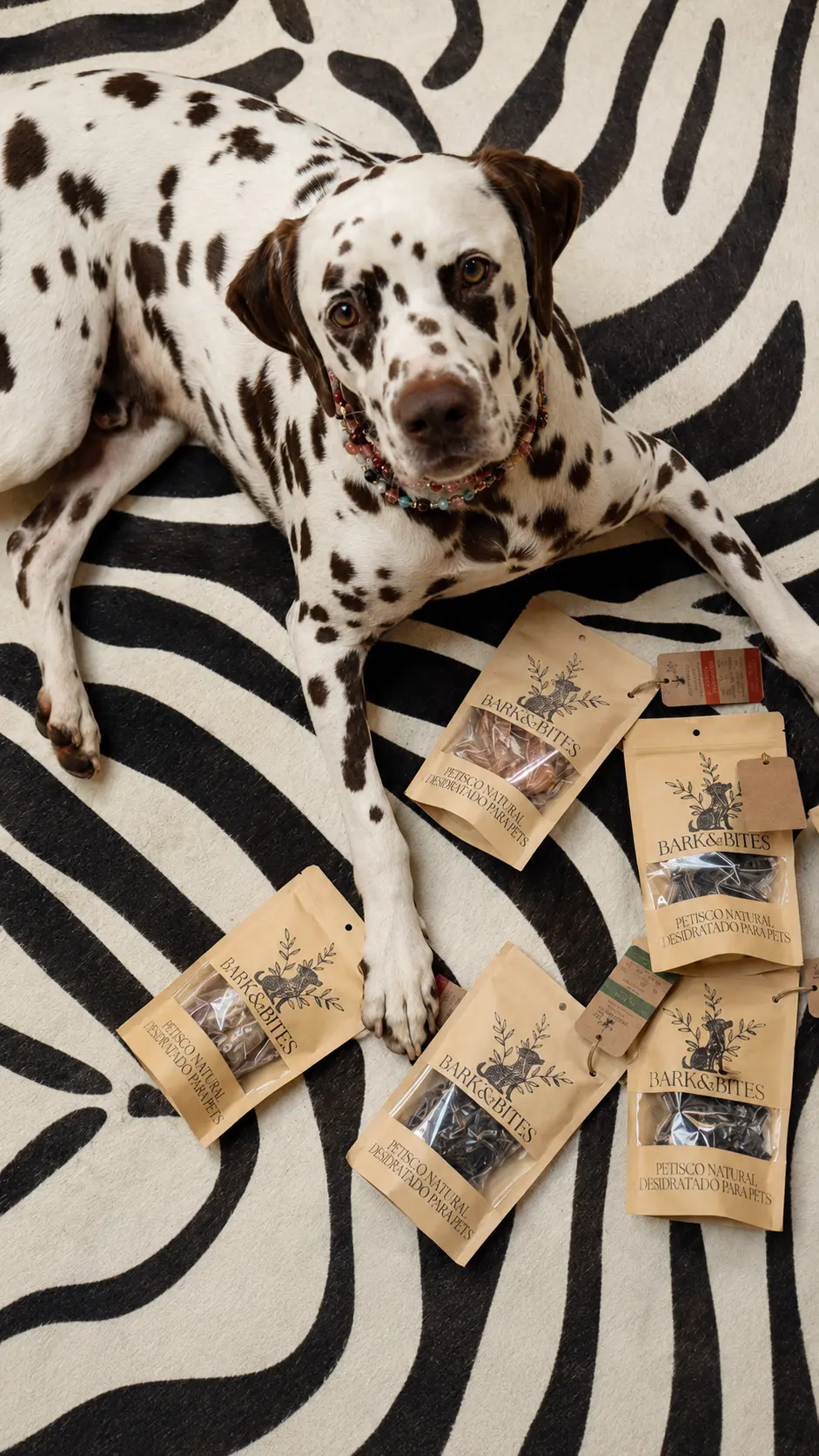 Cachorro dálmata deitado ao lado de pacotes de petiscos naturais Bark&Bites
